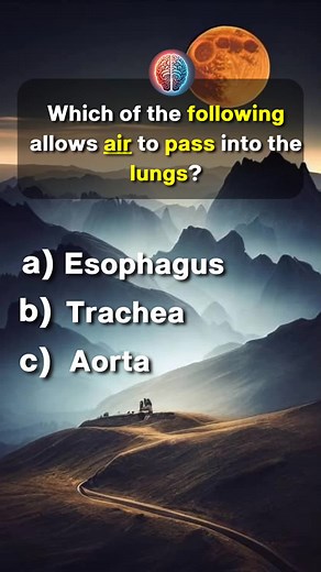 Which of the following allow air to the lungs.#quiztime #lungs #triviatime #test #air #game #test #brainchallenge ##brain #quiz
