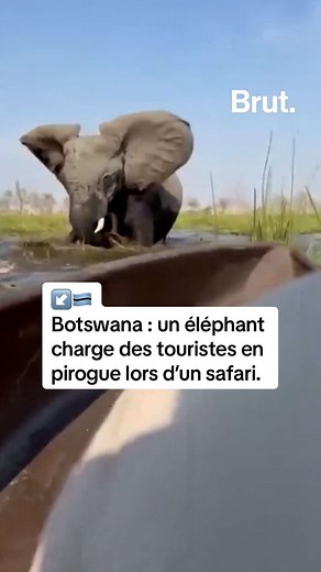Safari en Pirogue au Botswana : Renversé par un Élément