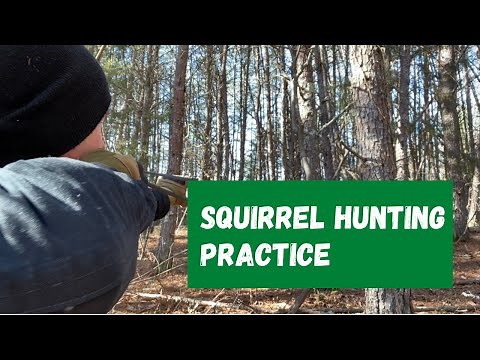 Slingshot squirrel hunting practice with my Scout XT