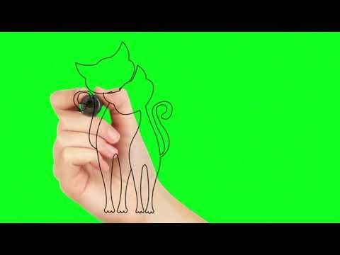 Quick Animated Drawing | Fast Animation Videos #forkids #trending