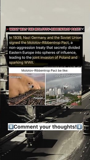 🚩What was the Molotov-Ribbentrop Pact in WW2?⚔️|| World War 2 History #history #memes