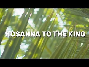 🌴 Hosanna to the King - Official Lyric Video 🌴
