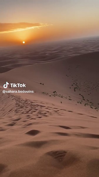 As the golden sun sinks beneath the endless dunes of the Sahara, the sky erupts in a breathtaking dance of fiery oranges, soft pinks, and deep purples. The vast, tranquil desert glows under the fading light, offering peace and beauty unlike anywhere else in the world. Come and witness this magical moment for yourself, where time slows, silence speaks, and nature shows off her most stunning canvas. The Sahara isn’t just a destination; it’s an experience that stays with you forever. Pack your sens