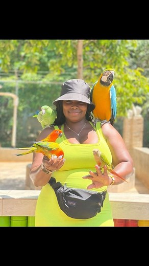 There are hundreds of local tour companies around. However, not many are actual tourguides. Connect with us and get value for your dollar! 🚕🚖🚐🚍 .. 🏖🏜🏝🗺 @knowjamaicatours 😎 ❕❗💯÷👌 🏖🏞 ° • 🏖 🏝 🏝 ✈️ 🚎 🇯🇲🤩 🙃🤯Customized Tours available 🇯🇲🇯🇲 🚎 Get the best out of your vacation when you make @KnowJamaicaTours your travel partner of choice. 🌴 🌴 🌊☀️🌺 • • #travelagent #travel #travelgram #travelagency #vacation #travelblogger #traveltheworld #traveladvisor #travelling #instatr