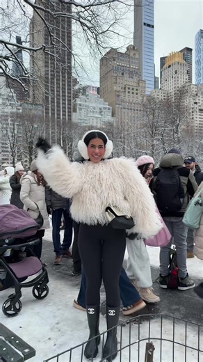 Exploring Central Park: A Winter Wonderland Experience