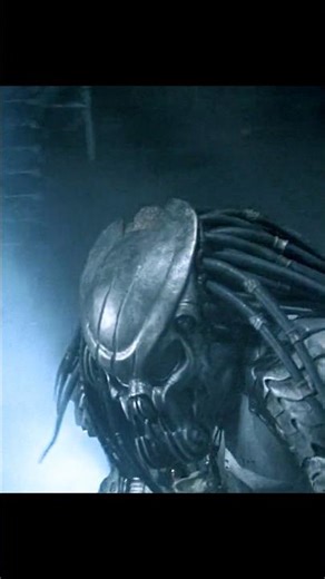 Acid-Blooded Tactics: Alien Outsmarts Predator