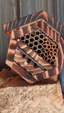 Mason Bee House With Observation Windows - Etsy