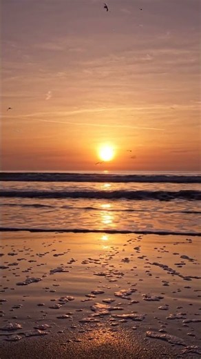 Ocean Waves at Sunset – Relaxing Beach Ambience