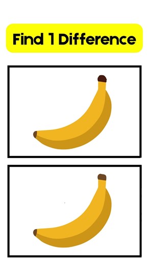 Find 1 Differences