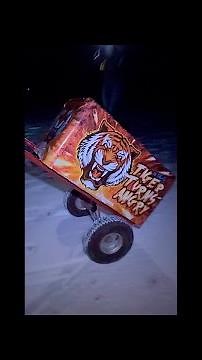 TIGER TURNS ANGRY 66 SHOT FIREWORK