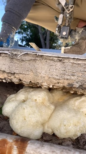 Concrete Leveling Pros on Instagram: "Polyurethane foam is a faster, more affordable, and eco-friendly alternative to full replacement. It fills voids, levels concrete, and lasts for decades without the mess. Serving Florida – Call (727) 537-6025 for your FREE ESTIMATE today! #ConcreteLeveling #ConcreteLifting #DrivewayRepair #PolyFoam #ConcreteRepair #FloridaHomeowners"