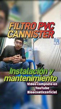PVC cannister filter B.A. Bioaquatixz Installation and maintenance #bioaquatixz #aquariophilia #f...