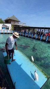 so amazing | David Benoit