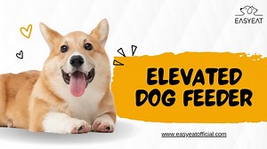 Elevated Feeding Made Easy: Introducing the EasyEat Dog Feeder - SlideServe