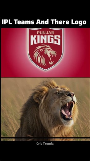Ipl team And There Logo Meaning #ipl #cricket