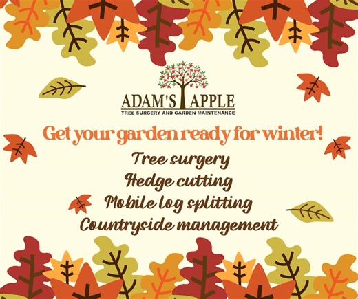 Adam’s Apple Tree Surgery on Reels