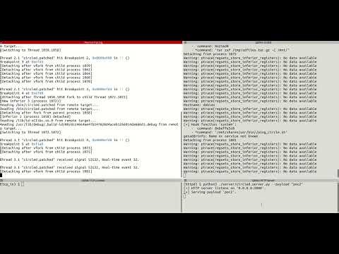 10-Exploitation/Analysis_Module_morion_rop_generator/Run_PoC_Exploit