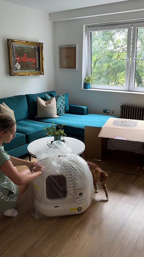 Petkit Pura Max Self Cleaning Litter Box Review