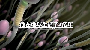 它在地球人生活了4亿年