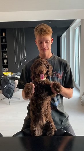 Goat Simulator: Laserluca's Fun Adventures