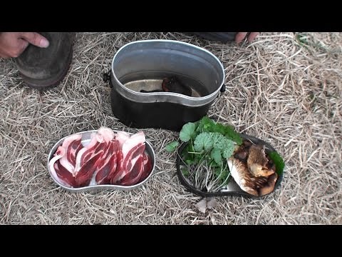 Third Year Hunting Life (Part 72)