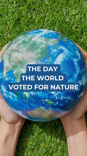 2.2K views · 15 reactions | On November 11, 2011, history was made....