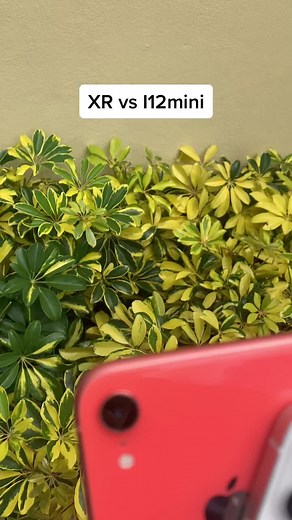 Detch plus  on TikTok