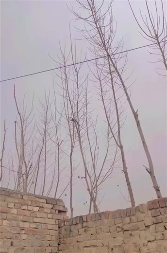 Saba ba new call shro ye happy new year 🕛#trending #pleasesupportme🙏🙏tiktokteam #bbbbbbbbbbb