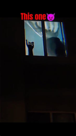 The Scariest Cat Stares in Human History💀 #shorts #deathstare