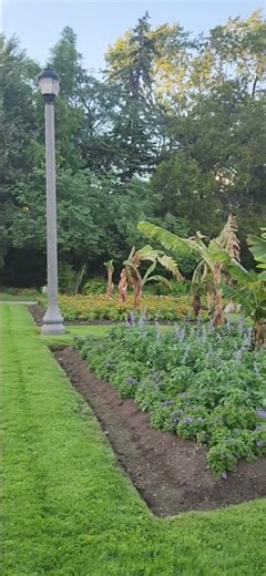 ❤️‍🩹 You're Missing Windsor's Most Beautiful Park! Explore Jackson Park Before You Go