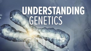 Understanding Genetics: DNA, Genes, and Their Real-World Applications