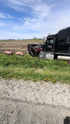 Trucker's Honest Call After Severe Peterbilt Wreck