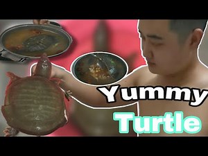 TURTLE SOUP CHINESE RECIPE | kitty jella vlogs
