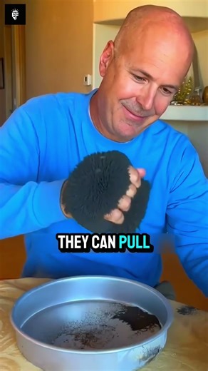 What happens when the strongest magnets collide?