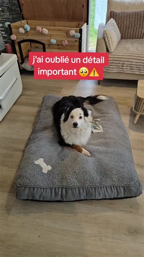 Comment intégrer un coussin XXXL dans une cabane