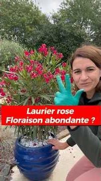 Laurier rose: floraison abondante comment? #jardin #flowers #astuces #laurier #rose #laurierrose