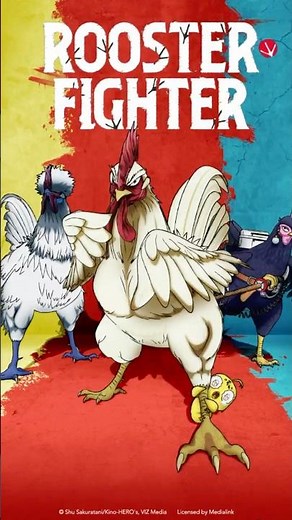 Rooster Fighter Anime #roosterfighter #animehindi #ShuSakuratani #keiji #animeindia