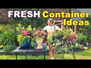 Gorgeous Summer Containers | Fresh Color & Bright Combinations for Big Impact