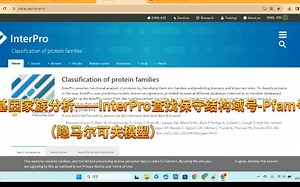 基因家族分析——InterPro查找保守结构域号-Pfam号（隐马尔可夫模型）-Noya大宝贝-研究生-哔哩哔哩视频