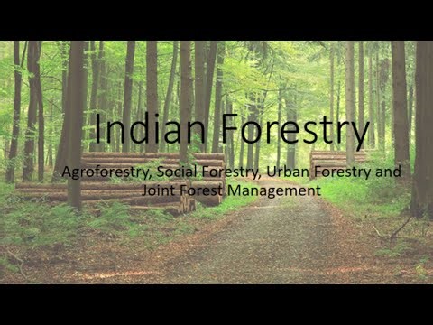 Agroforestry, Social Forestry, Urban Forestry, Joint Forest Management- Indian Forestry