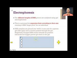 Flippin' Science- Electrophoresis, Eectropherograms, DNA Profiles and Genetic Ethics