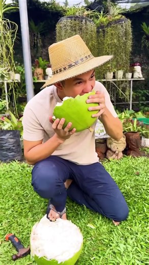 Miracle Fruit Explained | Calabash Fruit Benefits & Uses