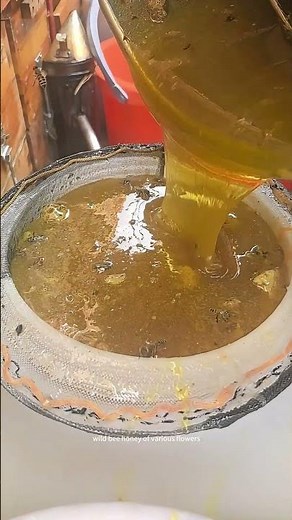 Italian Bee Honey Pouring Process !