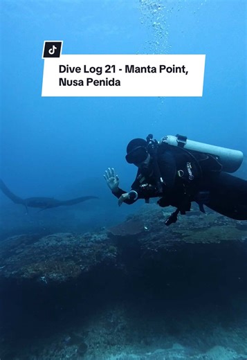Dive Log 21✨ Second time diving with mantas. Can’t get enough of these gentle giants. Dive site: Manta Point, Nusa Penida, Bali Dive centre: Scuba Go Sanur