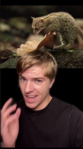 YOU WON’T BELIEVE, THE ACTUAL SIZE, OF THESE THINGS!! #Shorts