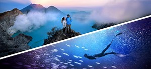 Adobe Photoshop Elements & Premiere Elements 2026 make editing photos and videos fast, easy and fun | Adobe Blog
