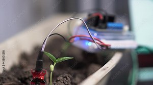 Soil moisture sensor to determine soil moisture. Agricultural technology.