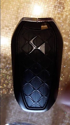 Pile télécommande ds5