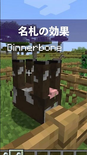 【マイクラ】名札の隠しコマンドまとめ#shorts