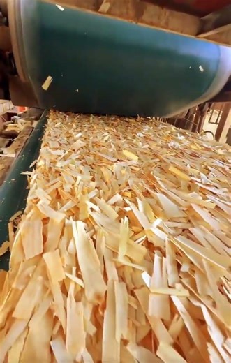 What OSB Is Made Of｜Raw Wood Strands Explained #Shorts #plywood #plywoodfactory #board #osbboard